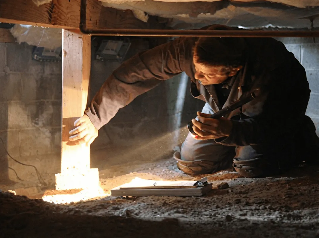 A professional inspecting wooden beams under the floor of a structure in Chicago, IL